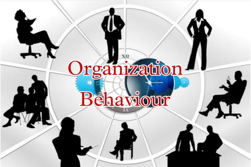 Organizational behaviour, organisational behaviour, organisational, notes